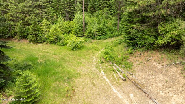 3232 Hells Gulch Rd, Saint Maries, ID 83861 - photo 8