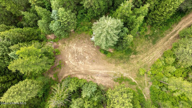 3232 Hells Gulch Rd, Saint Maries, ID 83861 - photo 9