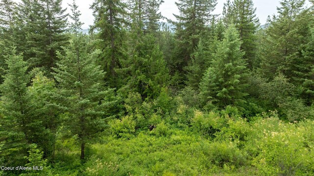 3232 Hells Gulch Rd, Saint Maries, ID 83861 - photo 10