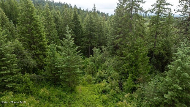 3232 Hells Gulch Rd, Saint Maries, ID 83861 - photo 11