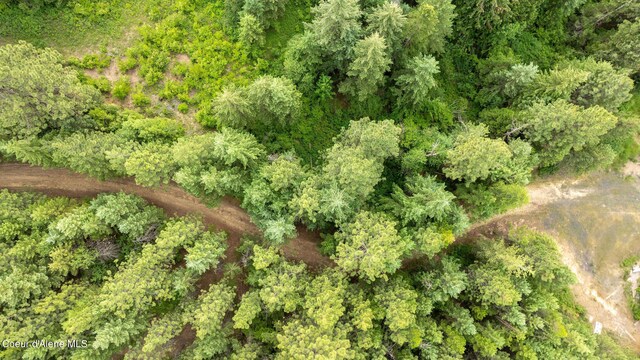 3232 Hells Gulch Rd, Saint Maries, ID 83861 - photo 12