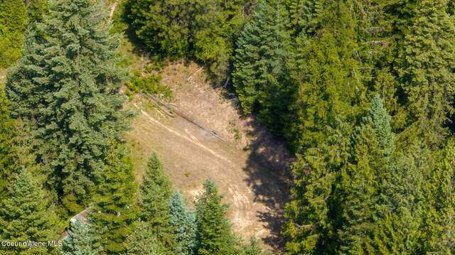 3232 Hells Gulch Rd, Saint Maries, ID 83861 - photo 13