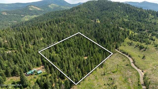 3232 Hells Gulch Rd, Saint Maries, ID 83861 - photo 15