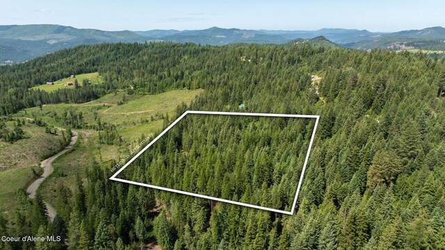 3232 Hells Gulch Rd, Saint Maries, ID 83861 - photo 16