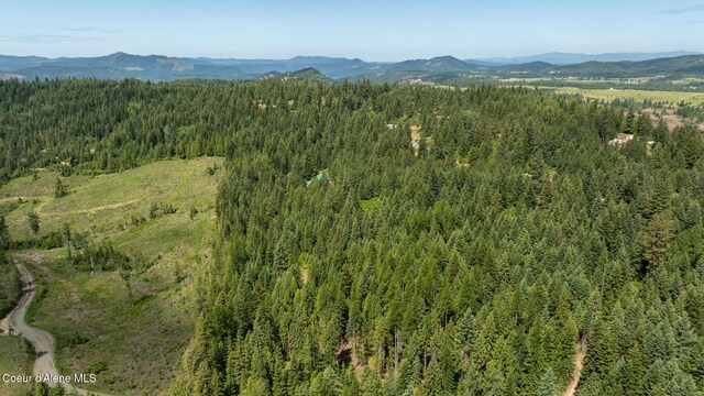 3232 Hells Gulch Rd, Saint Maries, ID 83861 - photo 20