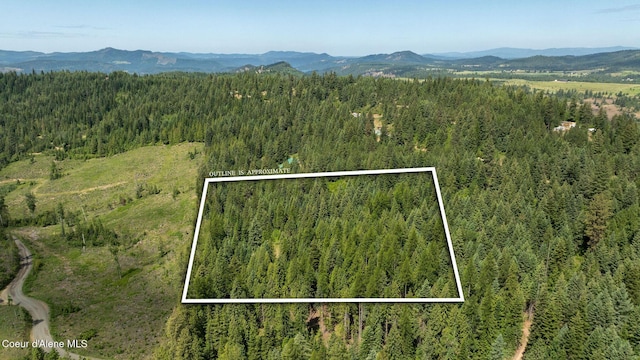 3232 Hells Gulch Rd, Saint Maries, ID 83861 - photo 22