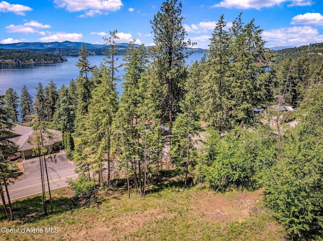 NKA S Timothy Ln, Coeur Dalene, ID 83814