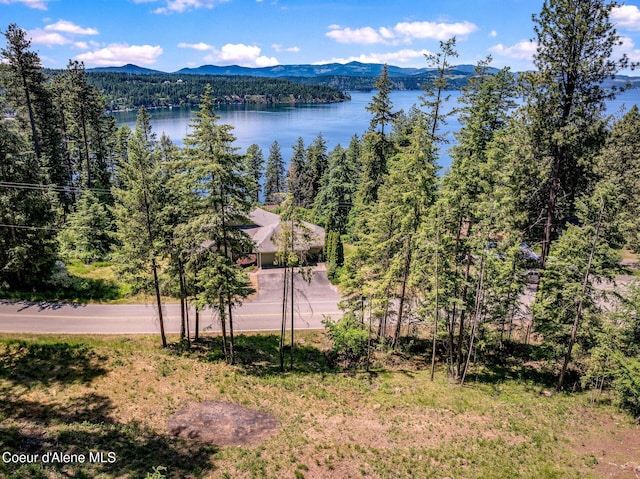 NKA S Timothy Ln, Coeur Dalene, ID 83814