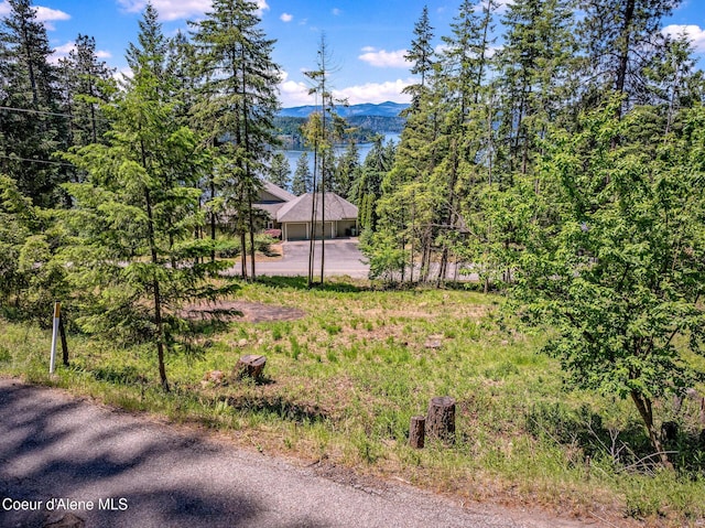 NKA S Timothy Ln, Coeur Dalene, ID 83814