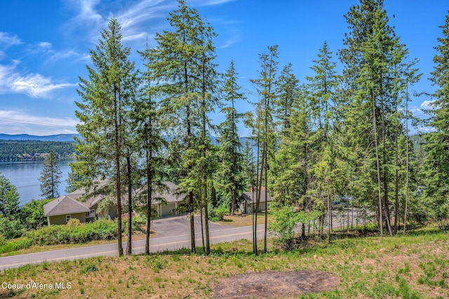 NKA S Timothy Ln, Coeur Dalene, ID 83814