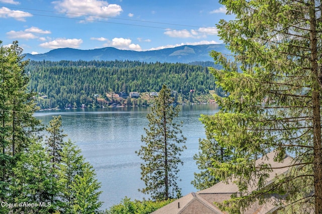 NKA S Timothy Ln, Coeur Dalene, ID 83814