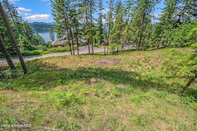 NKA S Timothy Ln, Coeur Dalene, ID 83814