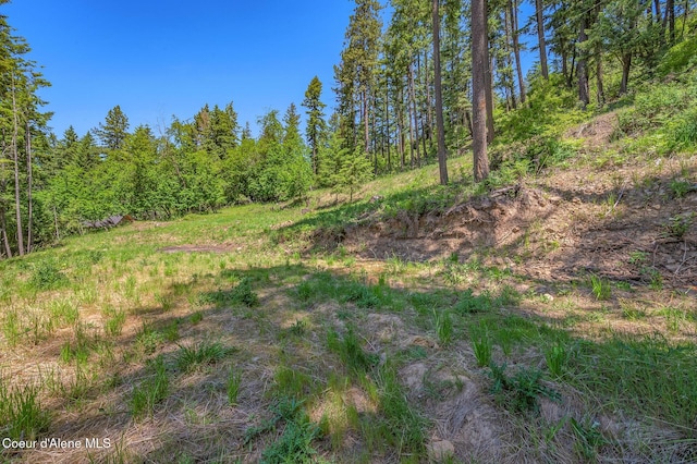 NKA S Timothy Ln, Coeur Dalene, ID 83814
