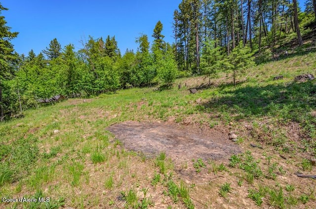 NKA S Timothy Ln, Coeur Dalene, ID 83814