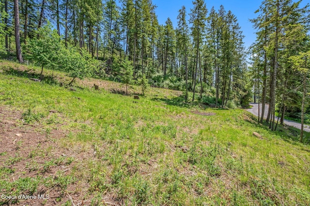 NKA S Timothy Ln, Coeur Dalene, ID 83814