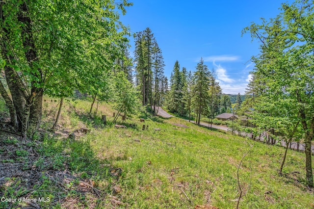 NKA S Timothy Ln, Coeur Dalene, ID 83814