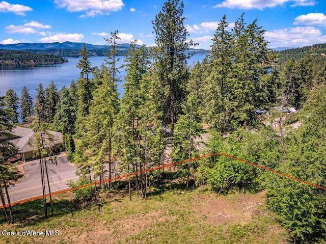 NKA S Timothy Ln, Coeur Dalene, ID 83814 - photo 6