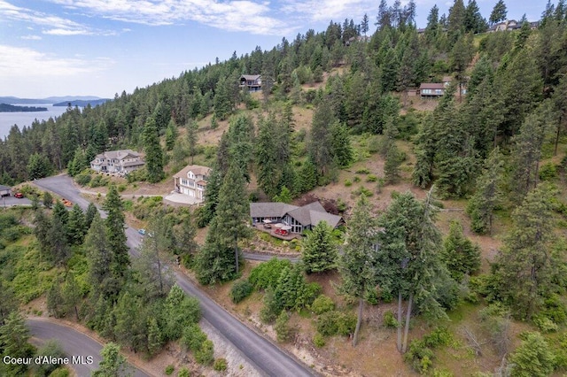 4987 S Bay Pointe Way, Coeur Dalene, ID 83814 - aerial overview of property's location featuring a heavily wooded area
