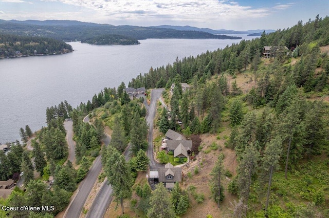 4987 S Bay Pointe Way, Coeur Dalene, ID 83814 - aerial view of property's location with a water and mountain view and a forest