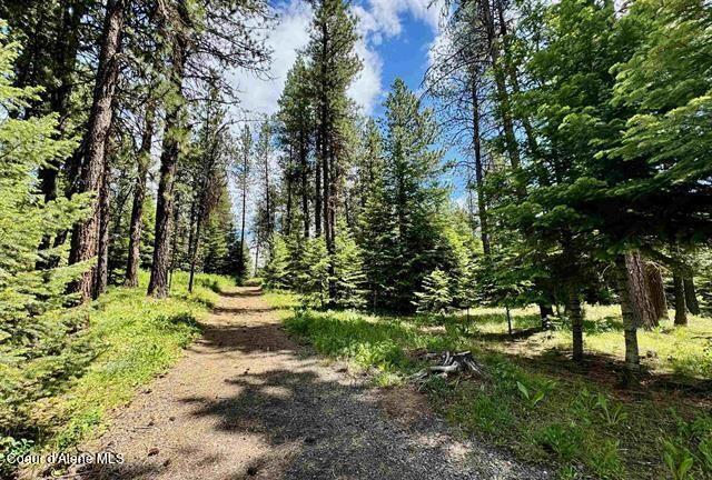 22767 Spruce Ln, Lewiston, ID 83501 - view of street