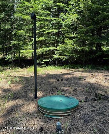 22767 Spruce Ln, Lewiston, ID 83501 - view of yard with a forest view