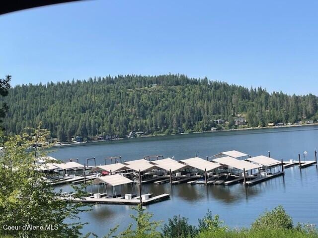 NKA Sunset Shores, Harrison, ID 83833