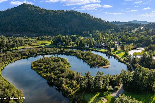 541 N Idaho Club Dr, Sandpoint, ID 83864 - aerial view of a forest and a water and mountain view