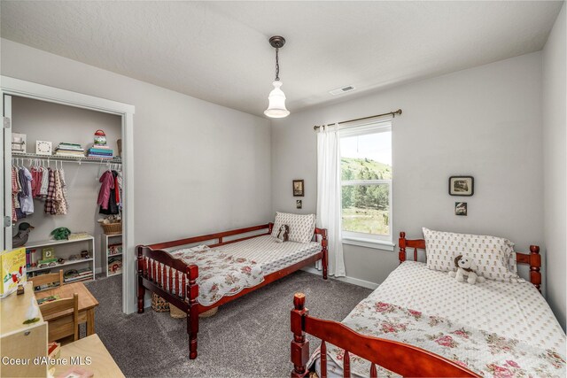 21367 E Acadia Ct, Liberty Lake, WA 99019 - bedroom with a closet, carpet flooring, and a walk in closet