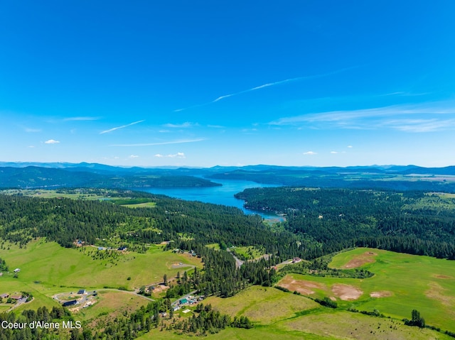 15268 S Potter Rd, Coeur Dalene, ID 83814 - bird's eye view of a water and mountain view and a forest