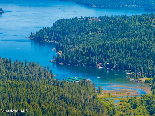 15268 S Potter Rd, Coeur Dalene, ID 83814 - water view featuring a forest