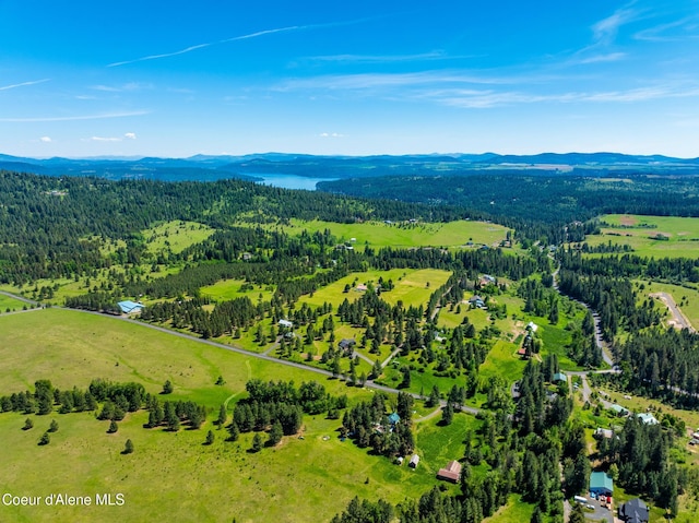 15268 S Potter Rd, Coeur Dalene, ID 83814 - drone / aerial view of a mountainous background and a forest