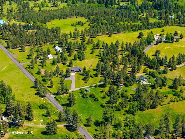 15268 S Potter Rd, Coeur Dalene, ID 83814 - aerial view