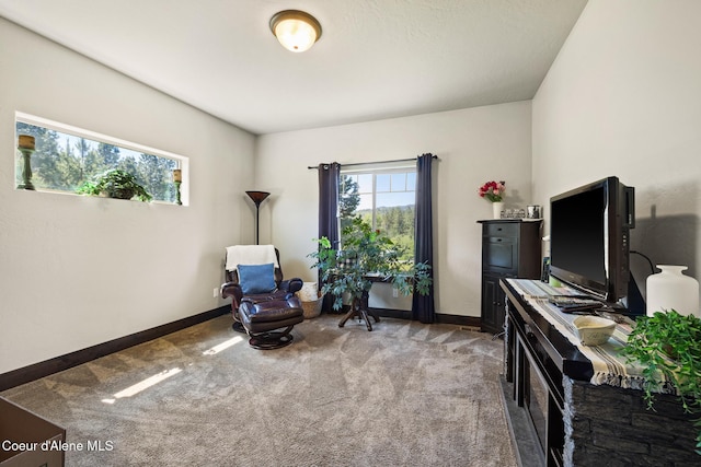 15268 S Potter Rd, Coeur Dalene, ID 83814 - sitting room featuring carpet and baseboards
