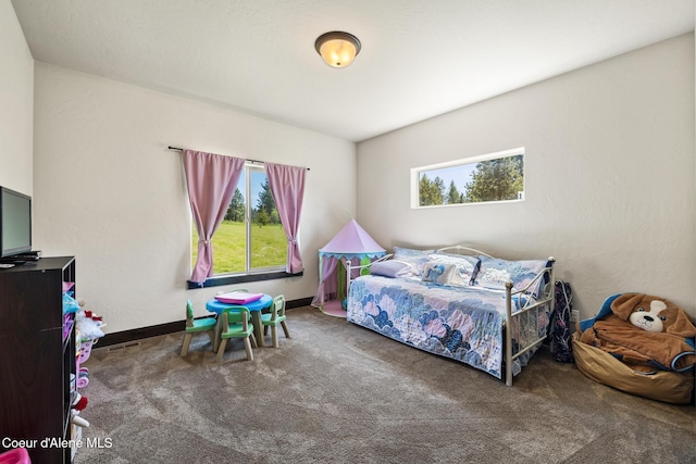 15268 S Potter Rd, Coeur Dalene, ID 83814 - carpeted bedroom with baseboards
