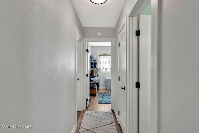 2040 Washington Ave, Saint Maries, ID 83861 - corridor with wood finished floors and baseboards