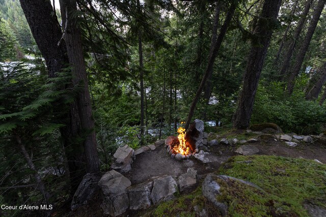 852 Woodland Dr, Sandpoint, ID 83864 - view of tree filled area