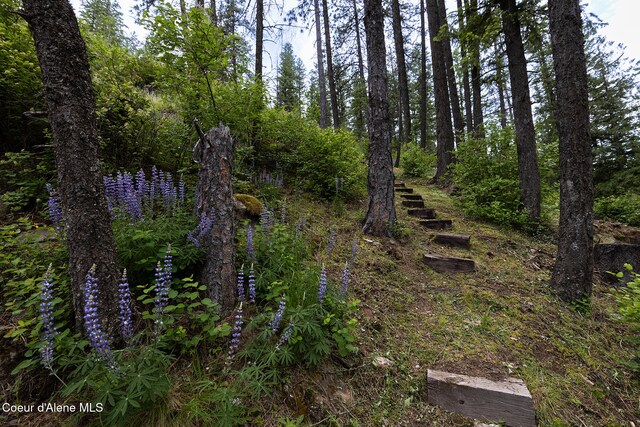 852 Woodland Dr, Sandpoint, ID 83864 - view of local wilderness
