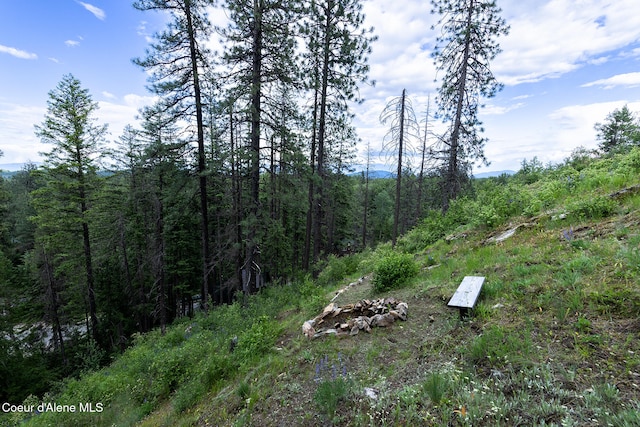 852 Woodland Dr, Sandpoint, ID 83864 - view of tree filled area