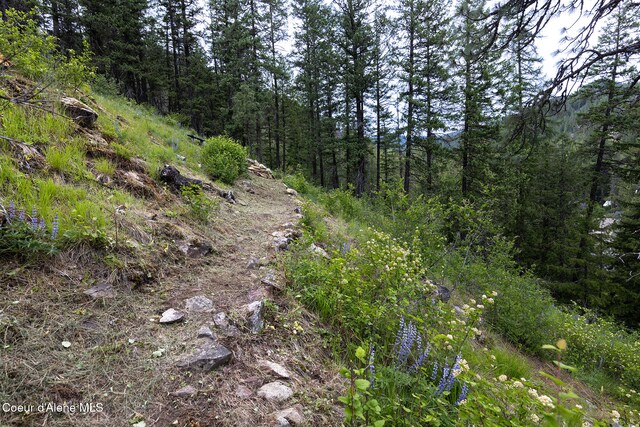 852 Woodland Dr, Sandpoint, ID 83864 - view of wooded area