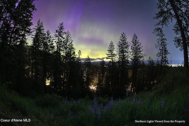 852 Woodland Dr, Sandpoint, ID 83864 - view of nature at dusk