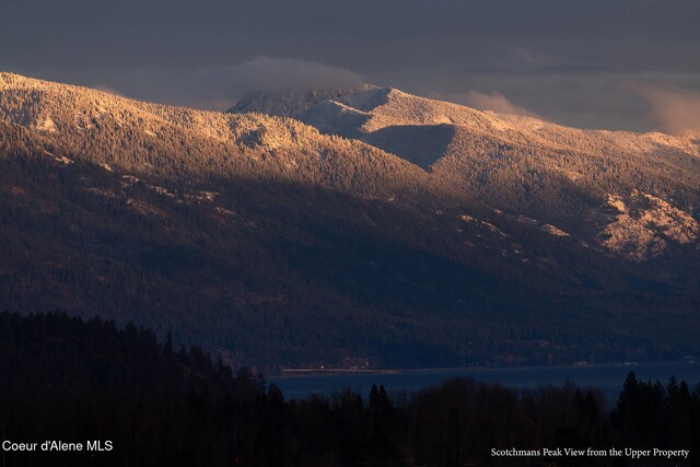 852 Woodland Dr, Sandpoint, ID 83864 - view of mountain backdrop with a forest