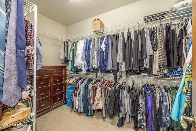 620 N Chisholm Ct, Post Falls, ID 83854 - walk in closet with carpet