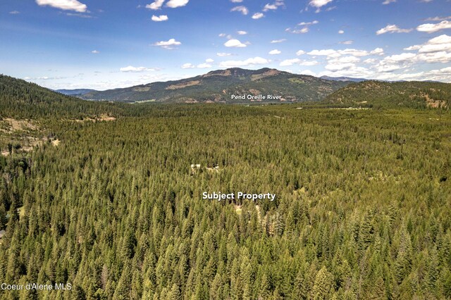 245 Lost Creek Ln, Priest River, ID 83856 - mountain view with a forest