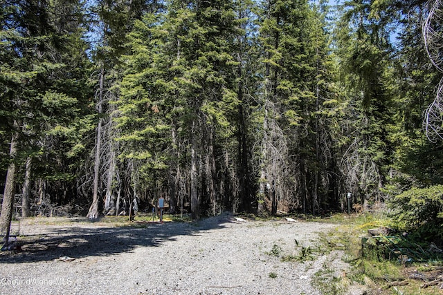 245 Lost Creek Ln, Priest River, ID 83856 - view of tree filled area
