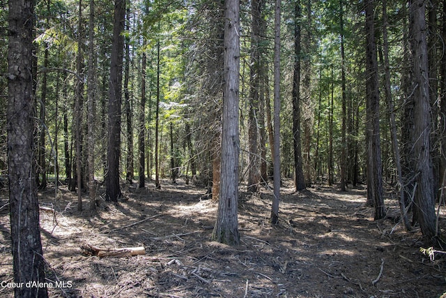 245 Lost Creek Ln, Priest River, ID 83856 - view of woods
