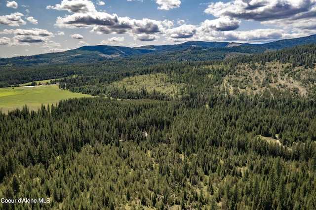 245 Lost Creek Ln, Priest River, ID 83856 - mountain view with a heavily wooded area