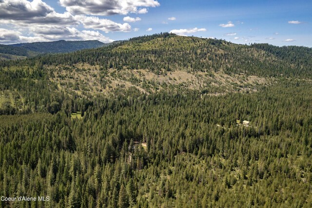 245 Lost Creek Ln, Priest River, ID 83856 - mountain view with a forest