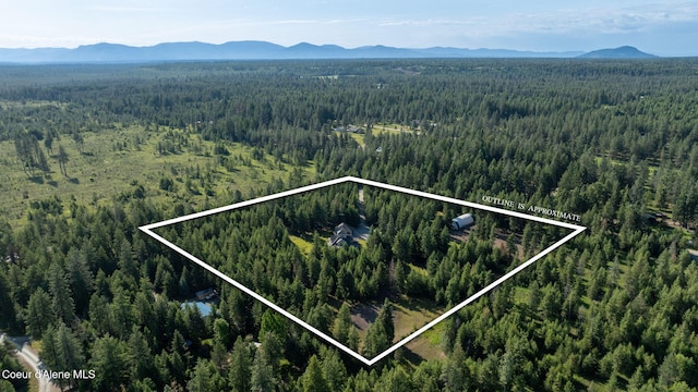 13 Park Dr, Spirit Lake, ID 83869 - aerial overview of property's location featuring a forest, mountains, and property boundaries highlighted