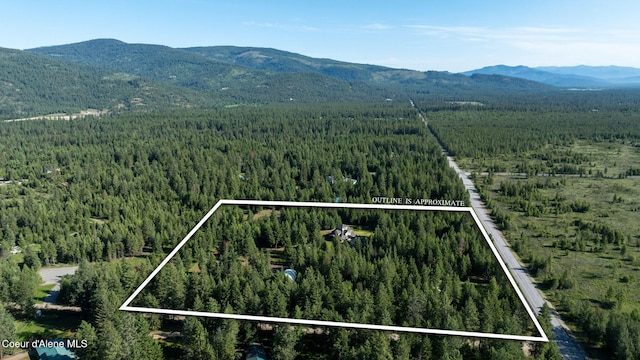 13 Park Dr, Spirit Lake, ID 83869 - view of property location featuring a forest, a mountain backdrop, and property boundaries highlighted