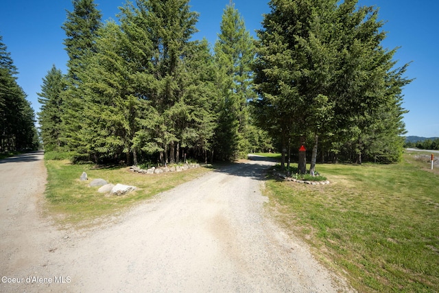 13 Park Dr, Spirit Lake, ID 83869 - view of dirt / gravel road